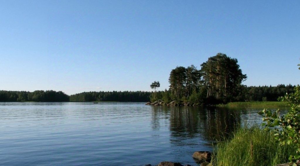 земля р-н Всеволожский Токсовское городское поселение, Экофорест 2 кп, Девяткино, ул. Приозерная фото 1