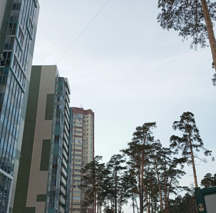квартира г Новосибирск метро Площадь Гарина-Михайловского ул Сухарная 96 фото 22