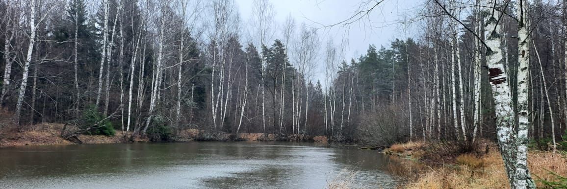 земля городской округ Ступино д Торбеево фото 6