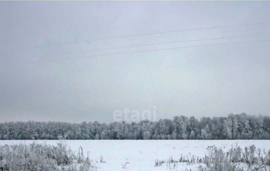 земля р-н Кемеровский снт Нагорное-верхнее-1 д. Журавлево фото 2