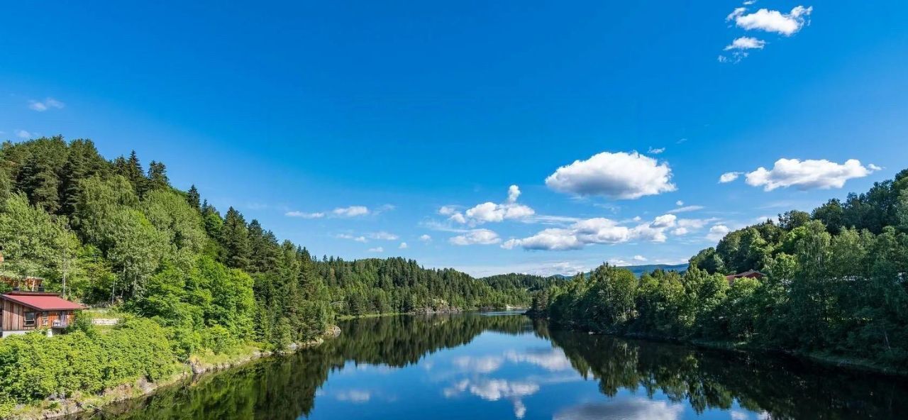 земля р-н Красносельский д Кузьмино ул Луговая Шолоховское с/пос фото 1