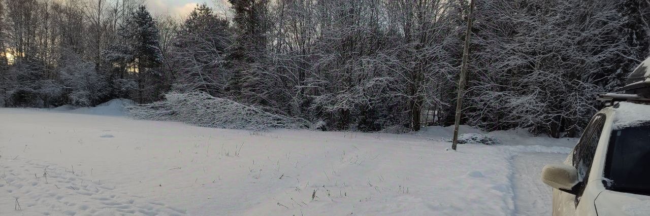 земля р-н Приозерский п Бригадное Приозерское городское поселение фото 9