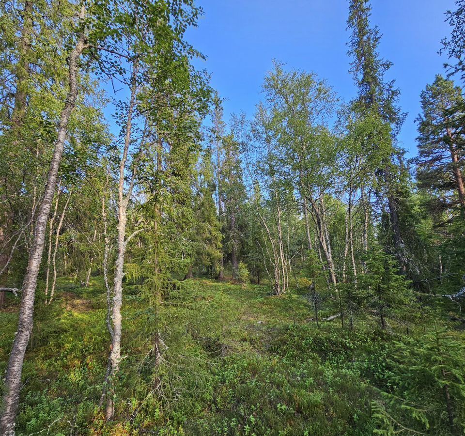 дом р-н Кольский ст терСевер-1 Кола, городское поселение Кильдинстрой фото 29