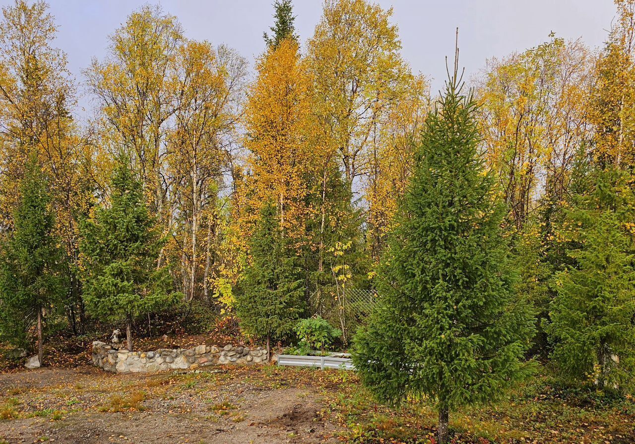 дом р-н Кольский ст терСевер-1 Кола, городское поселение Кильдинстрой фото 37