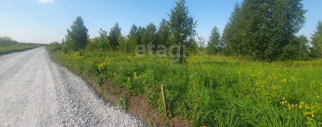 земля г Бердск жилой район «Раздольный» фото 2