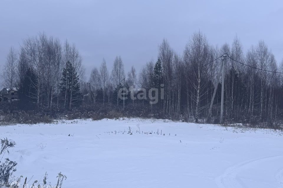 земля р-н Городецкий д. Чуркино фото 1