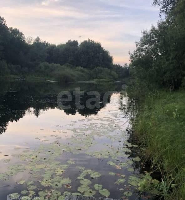 земля р-н Килемарский д Петропавлово ул Петропавловская фото 2