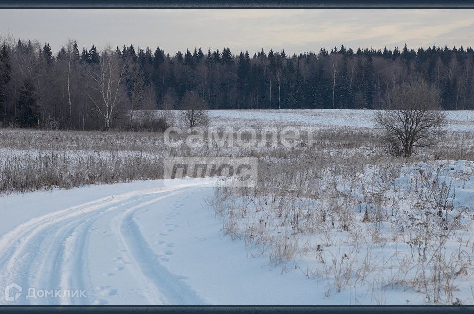 земля р-н Емельяновский д Раскаты ул Центральная фото 4