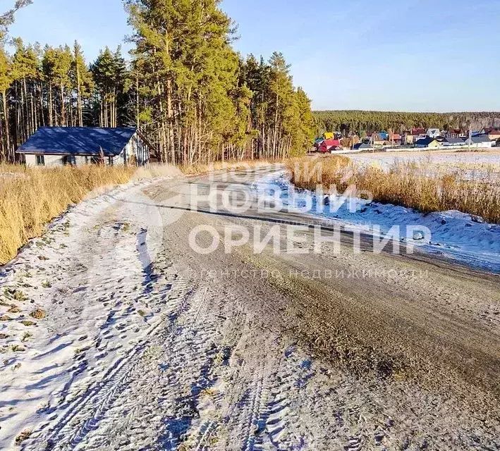 земля р-н Сысертский с Черданцево пер Мирный 24 фото 8