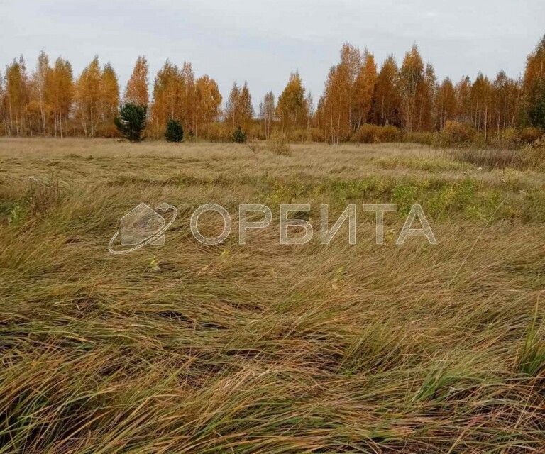 земля р-н Тюменский с. Борки фото 4