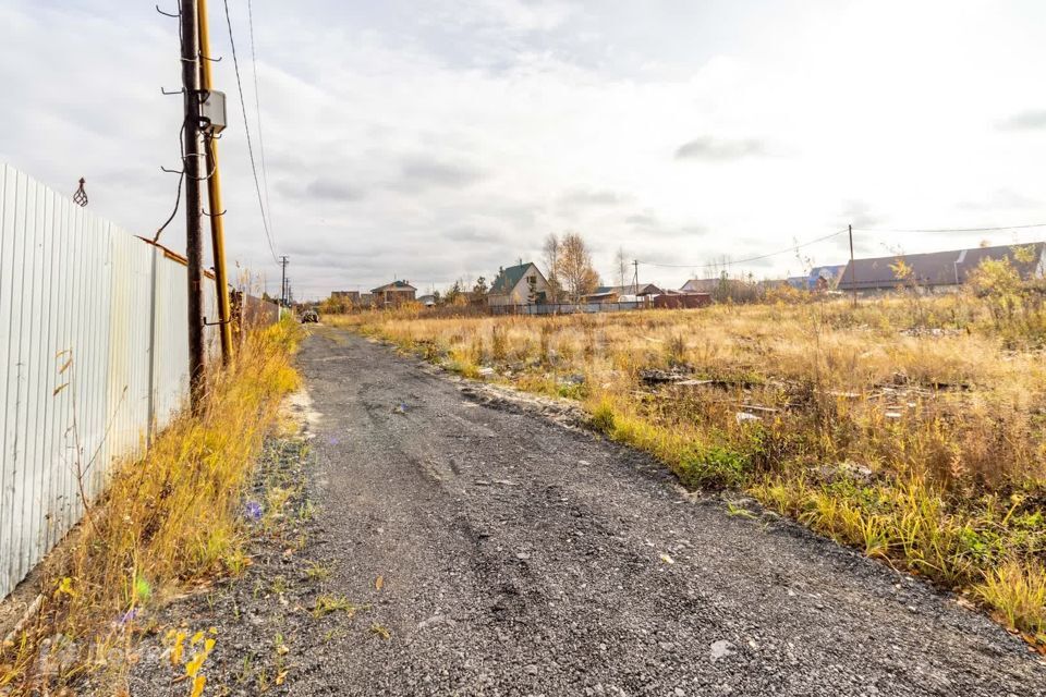 земля Сургут городской округ, Ханты-Мансийский автономный округ — Югра, ПСОК 6 Витамин фото 4