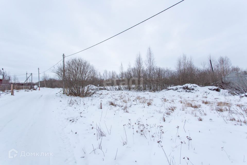 земля г Тобольск ул Ленина Тобольск городской округ фото 8