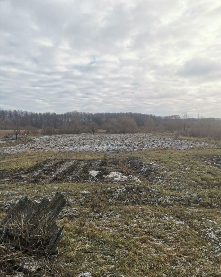 дом р-н Курский д Каменево Камышинский сельсовет, 34, Курск фото 11