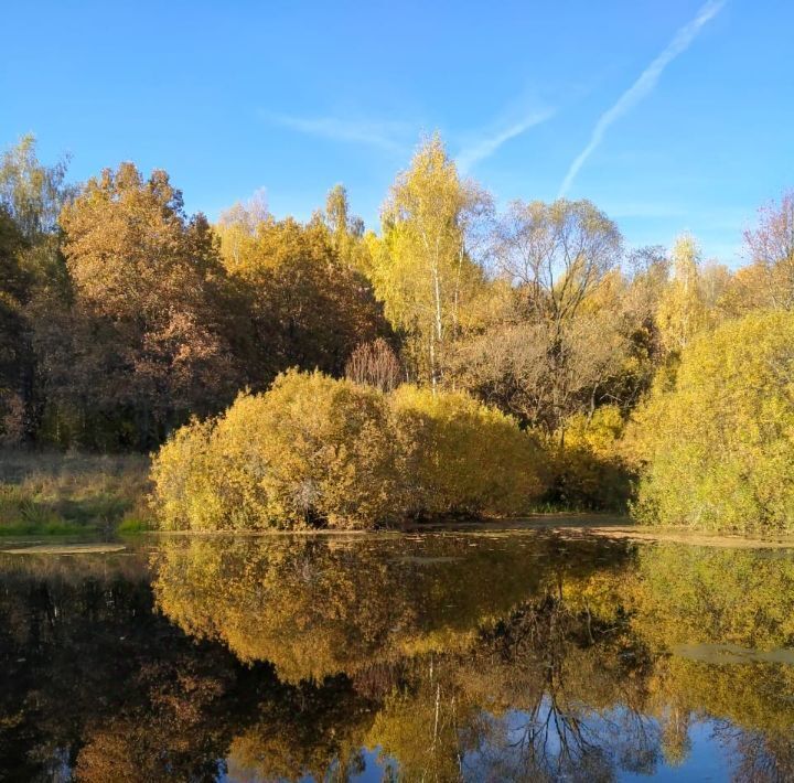 дом р-н Заокский Малаховское с/пос, 2, Березка СНТ фото 41