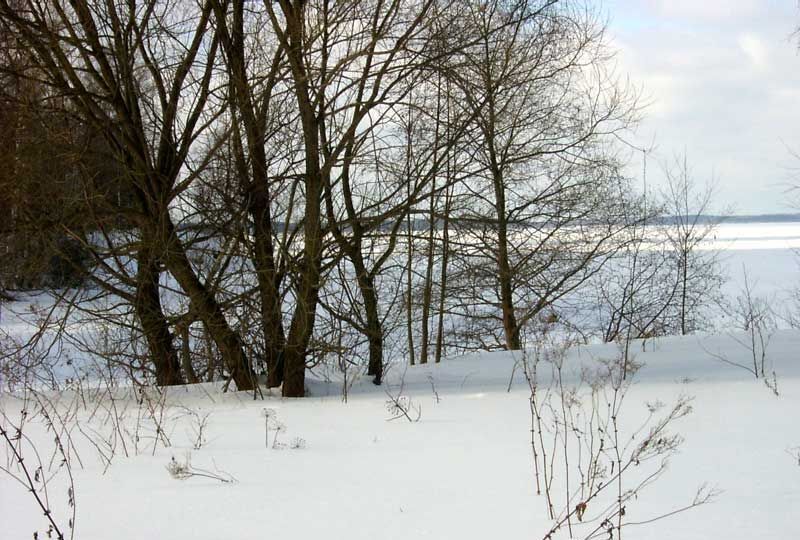 земля р-н Угличский с Красное Маймерский сельский округ, Углич фото 9