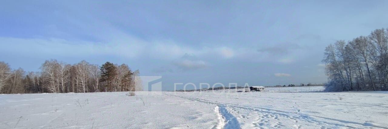 земля р-н Первомайский с Фирсово ул. Кедровая фото 8