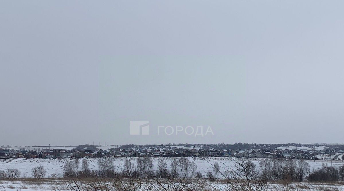 дом г Барнаул с Гоньба ул Рябиновая 46 фото 5