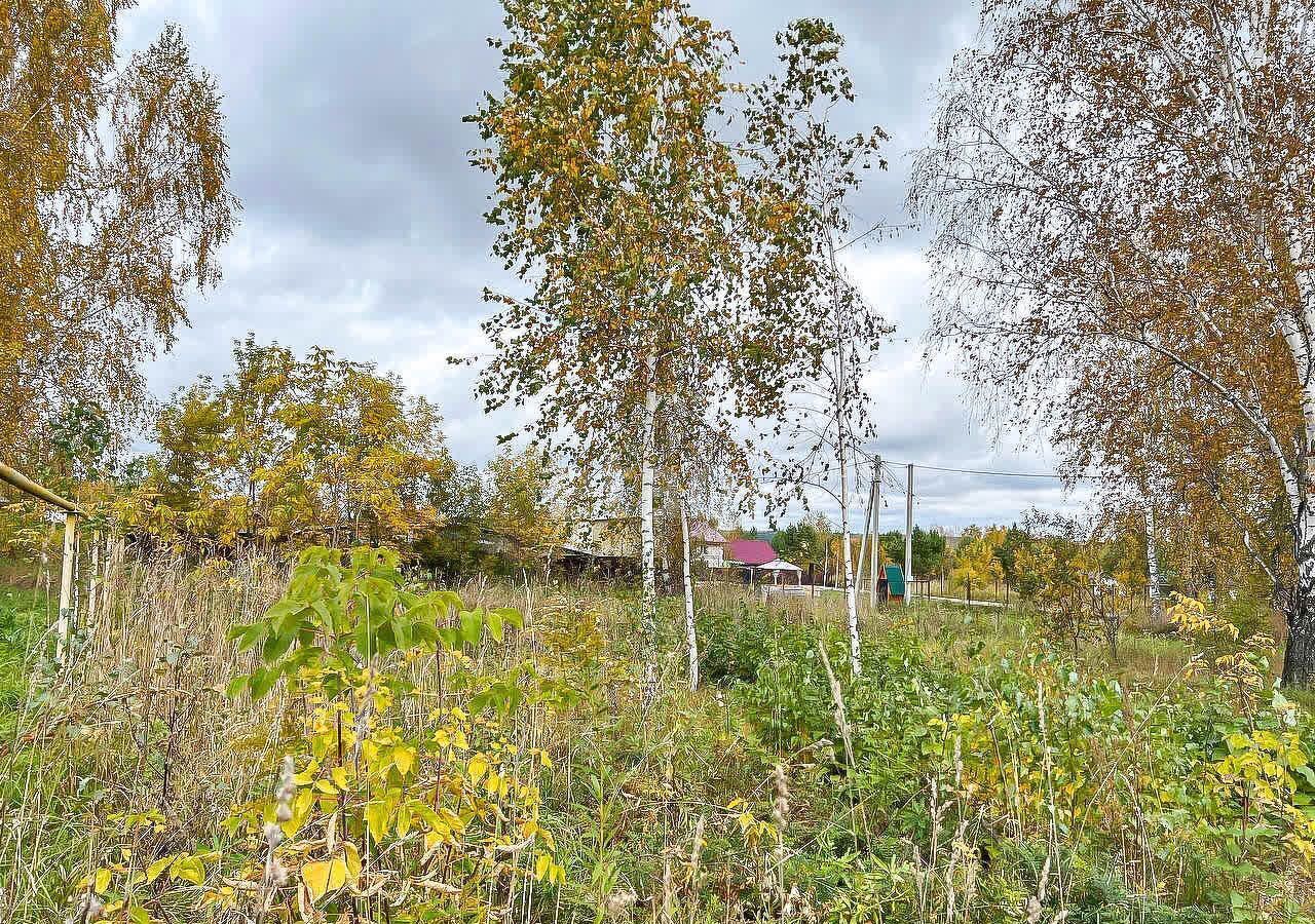 земля р-н Искитимский п Мичуринский сельсовет, дачное некоммерческое партнёрство Город-Сад, Бердск фото 8