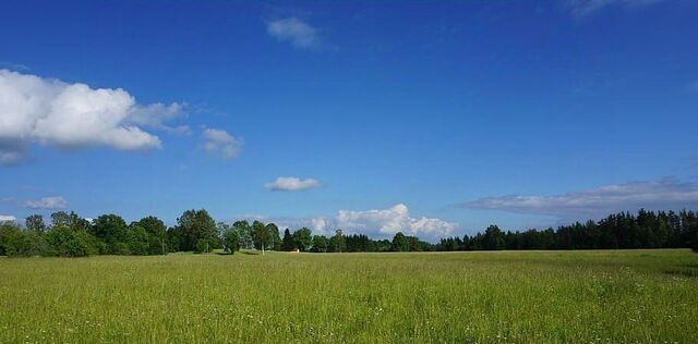 р-н Торбеевский с Виндрей фото