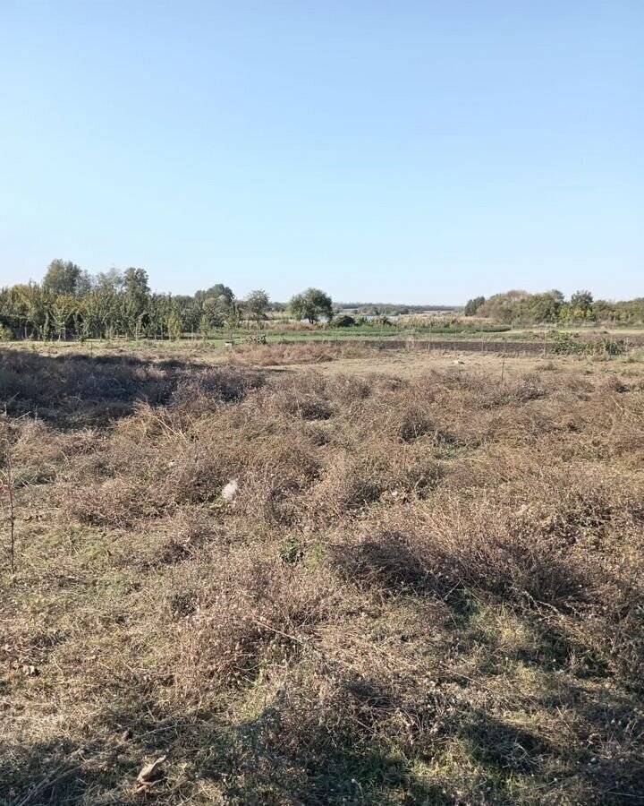 земля р-н Кореновский х Казаче-Малеваный ул Лунева 192а Журавское сельское поселение, Выселки фото 4