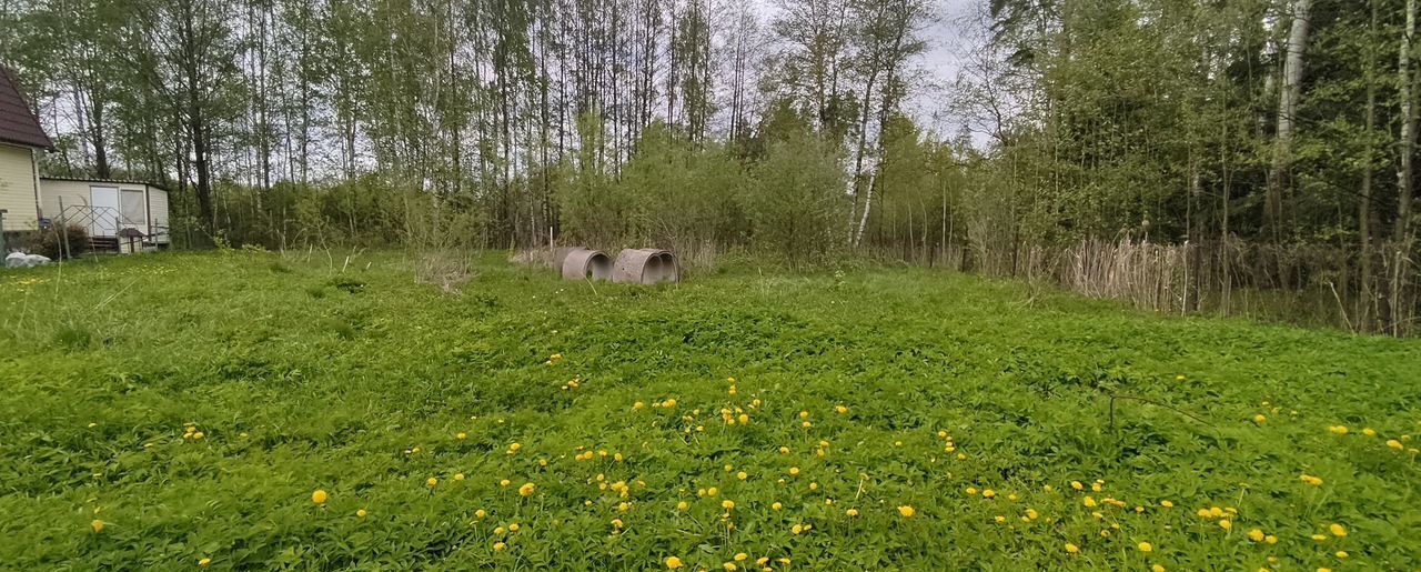 земля городской округ Воскресенск д Старая снт Конобеево 62 км, Воскресенск, Новорязанское шоссе фото 3