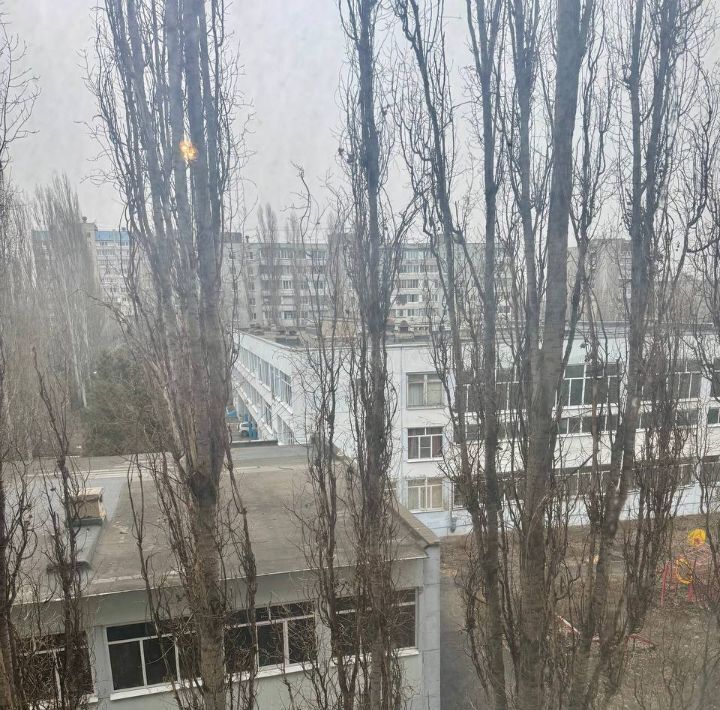 квартира г Воронеж р-н Коминтерновский ул Беговая 148 фото 18