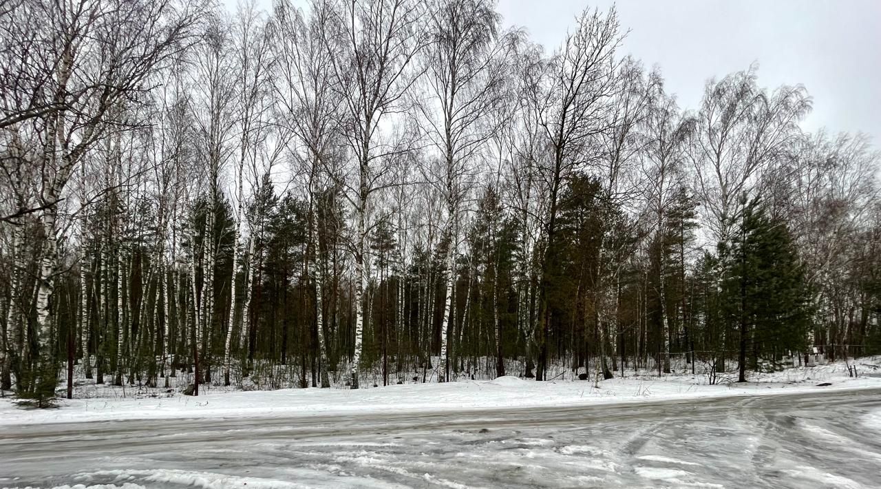 дом городской округ Богородский г Ногинск снт Феникс ул Центральная 139 фото 19