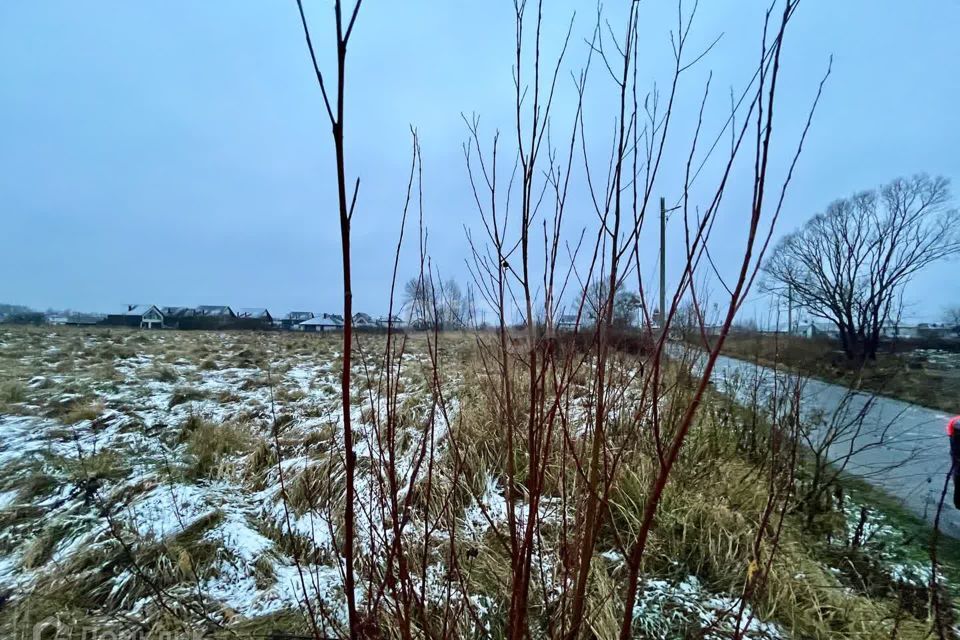 земля р-н Гурьевский пос. Медведевка фото 1