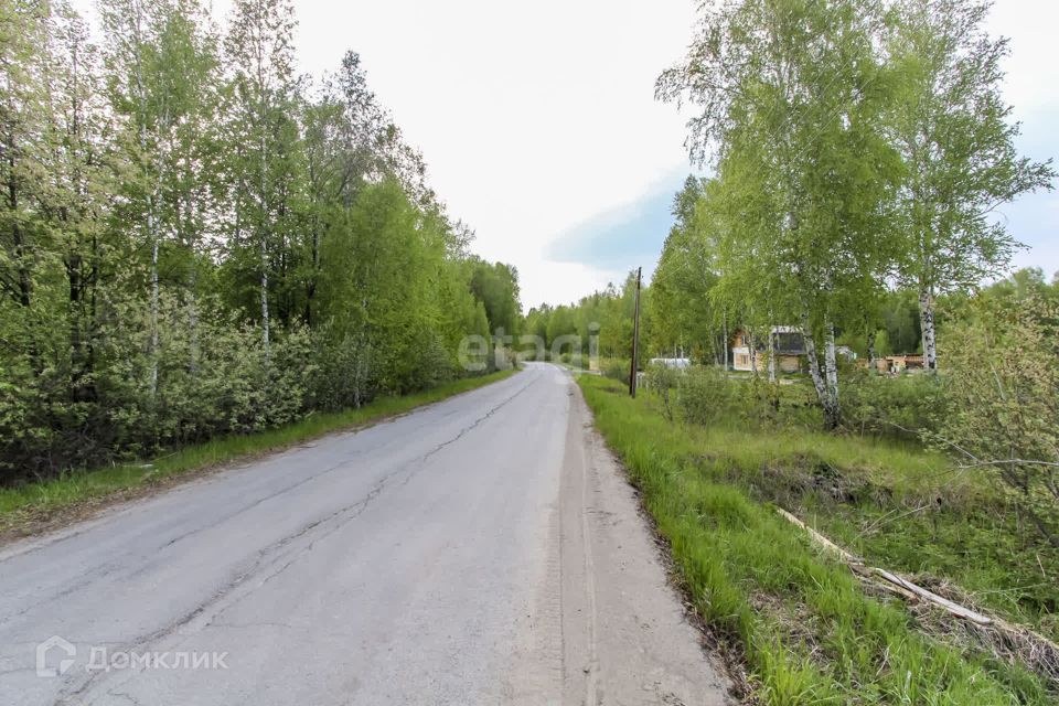 земля р-н Нижнетавдинский с Тюнево ул Центральная фото 4