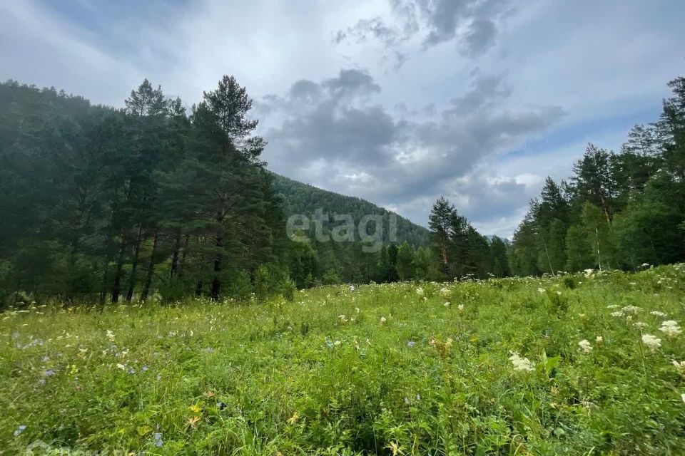 земля р-н Чемальский с. Чемал фото 5