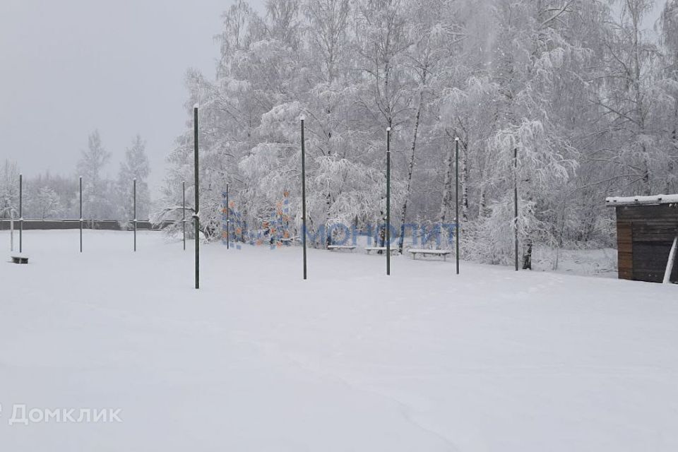 земля Нижний Новгород городской округ, сельский посёлок Новинки, Окская фото 9