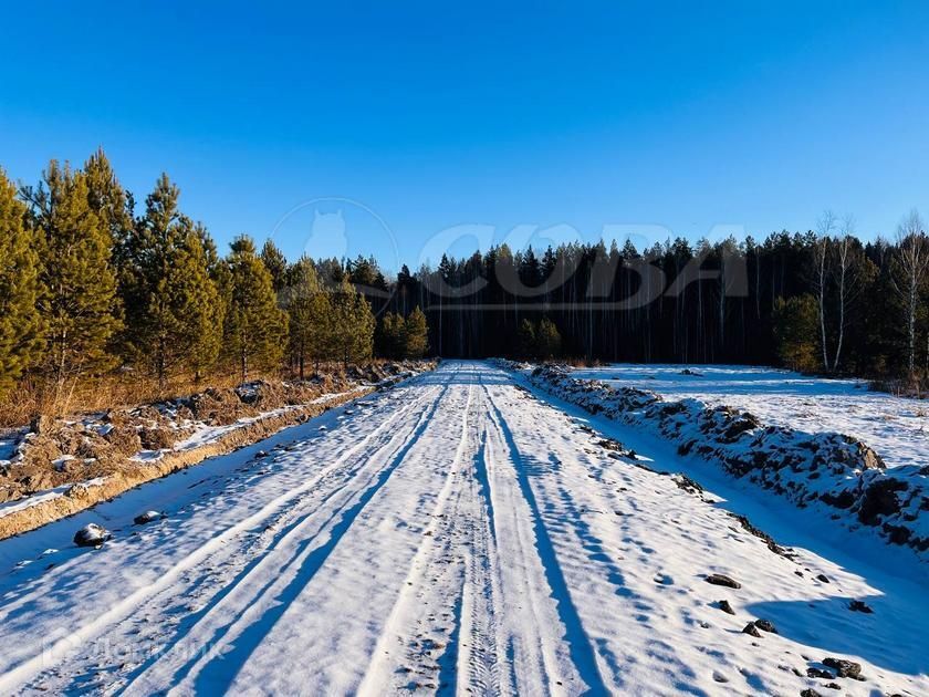 земля р-н Нижнетавдинский с. Тюнево фото 5