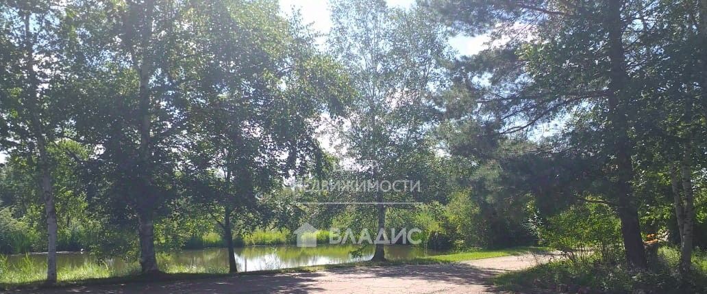 дом г Арсеньев ул Камышовая 23 фото 4