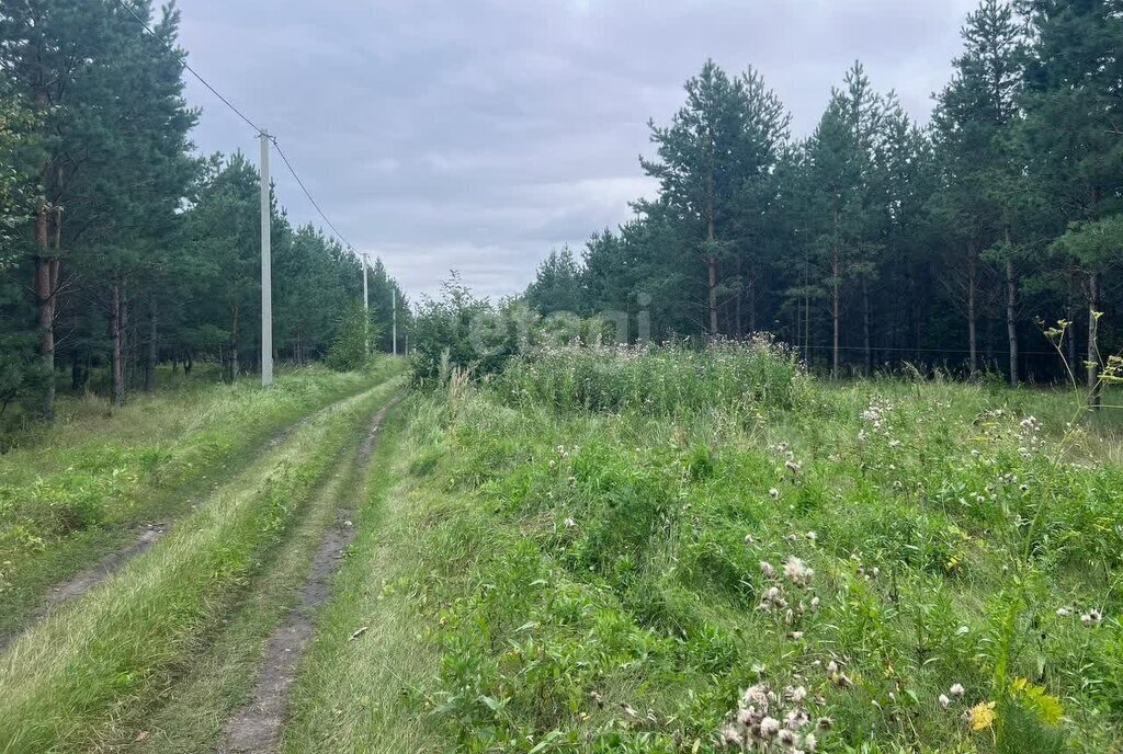 земля р-н Кетовский с Введенское р-н мкр Березки-1 фото 4