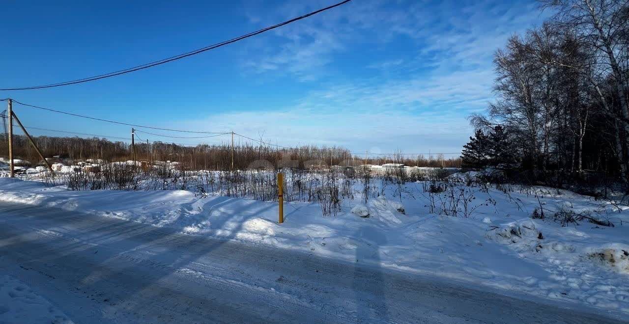 земля г Тюмень р-н Центральный общество Поляна, Пригожая ул, садовое фото 6