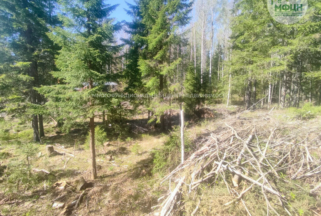 земля р-н Прионежский снт Нигишламба-2 Нововилговское сельское поселение фото 7