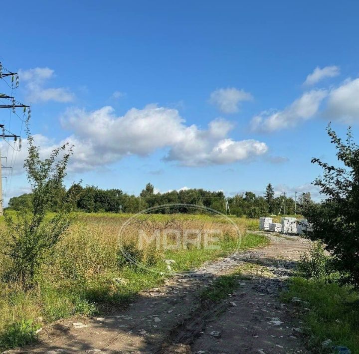 земля р-н Гурьевский п Луговое фото 17