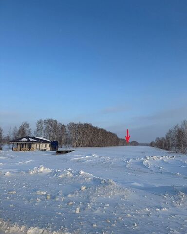 земля Дружинское сельское поселение, коттеджный пос. Красногорский, Омск фото