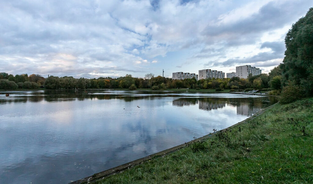 квартира г Москва метро Минская ул Улофа Пальме 7 муниципальный округ Раменки фото 25