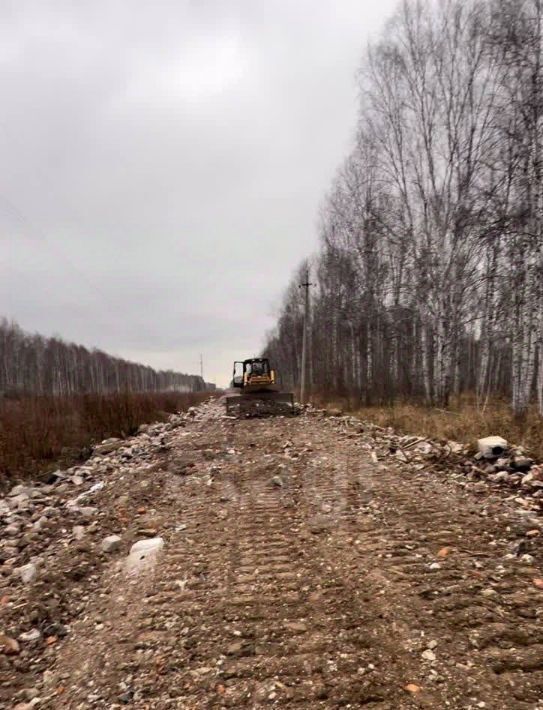 земля р-н Нижнетавдинский снт Сундукуль ул Малиновая фото 4