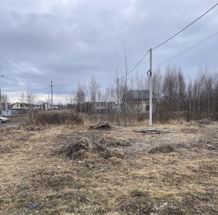 земля городской округ Павловский Посад Березки Парк 2 кп, ул. Свободы фото 2