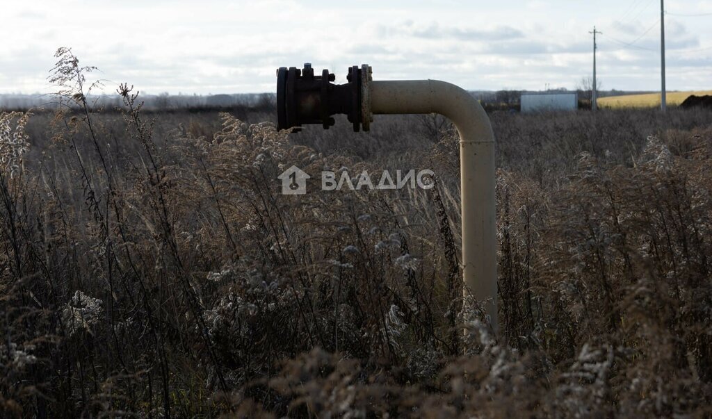 земля р-н Суздальский с Васильково ул Спортивная 3 муниципальное образование Павловское фото 6