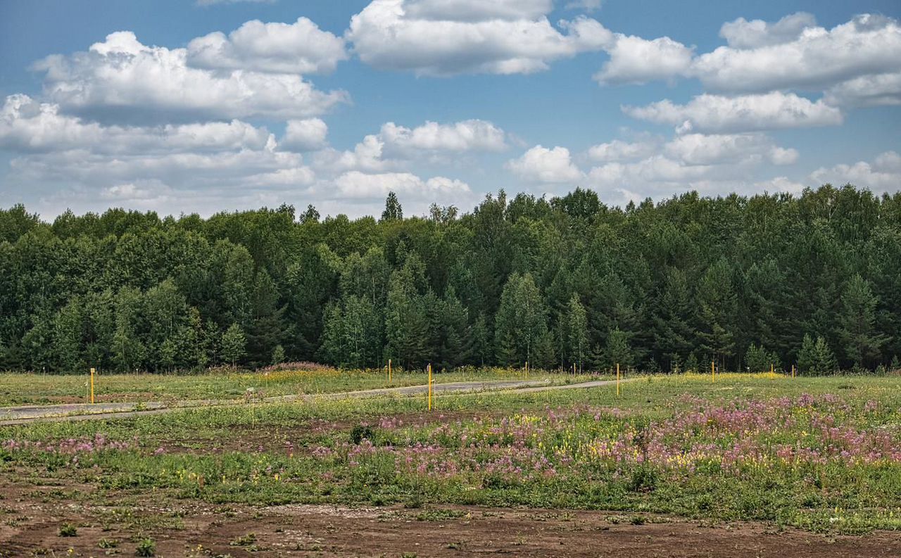 земля р-н Богородский с Лакша ул Центральная 7 Центральный фото 1