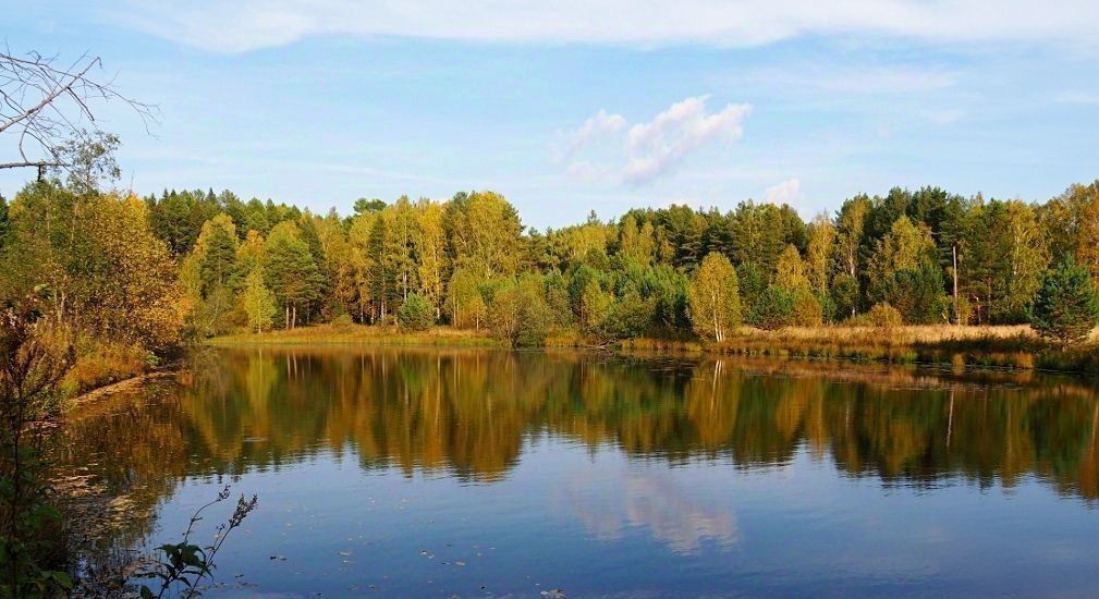 земля городской округ Пушкинский п Софрино ул Красноармейская 7а фото 3