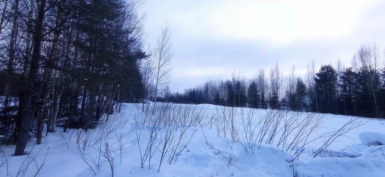 земля р-н Всеволожский д Касимово Агалатовское с/пос, Вива Касимово кп, Парнас, аллея Базиликовая фото 4