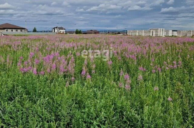 земля д Азьмушкино фото