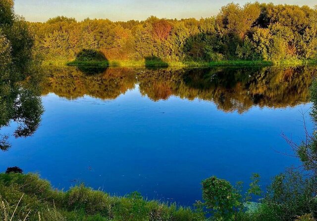 д Грибаново 16 км, Красногорск, Рублёво-Успенское шоссе фото