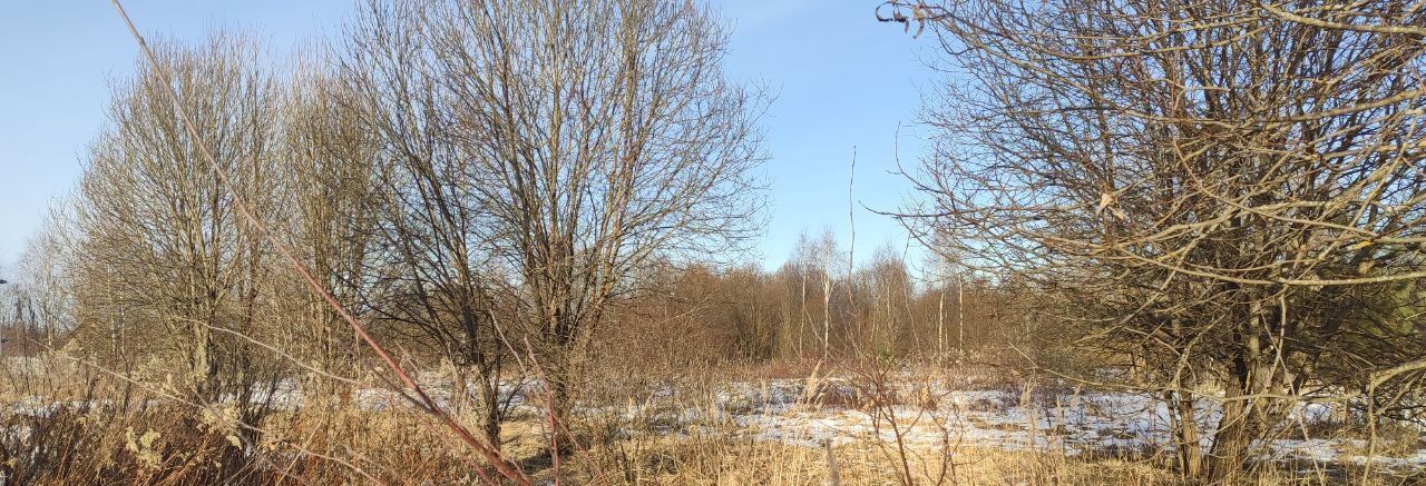 земля городской округ Талдомский п Запрудня фото 2