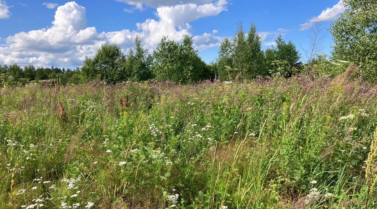 земля городской округ Наро-Фоминский д Собакино фото 8