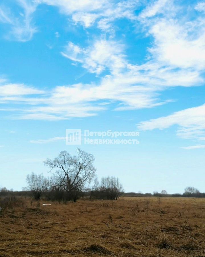 земля р-н Шимский д Оспино ул Озёрная Шимское городское поселение, Шимск фото 1